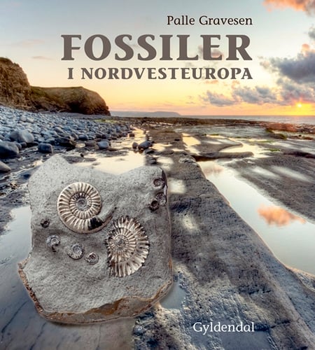 Fossiler i Nordvesteuropa - picture