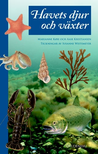 Havets djur och växter - picture
