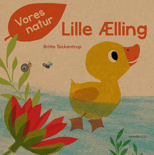 Vores natur - Lille Ælling_0