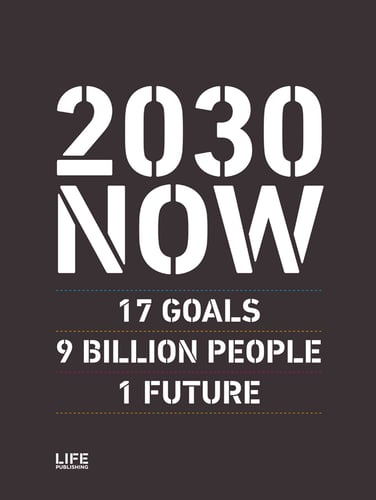 2030 NOW (English edition) - picture