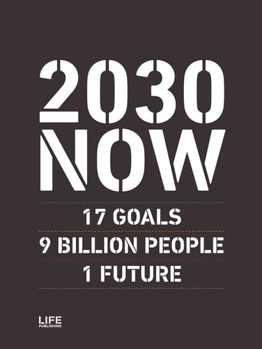 2030 NOW (English edition)