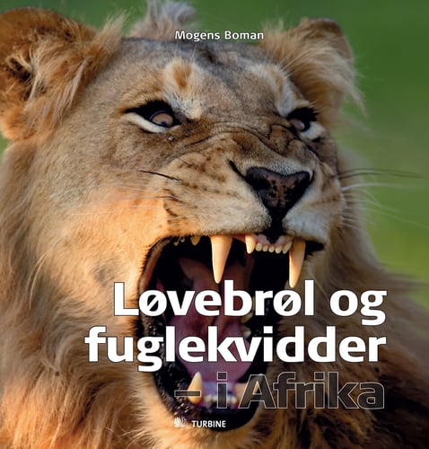 Løvebrøl og fuglekvidder - i Afrika_0