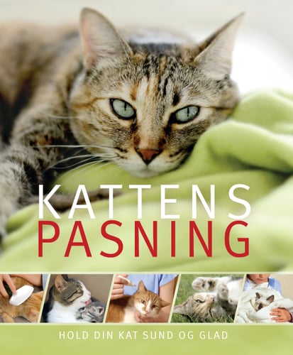 Kattens pasning_0