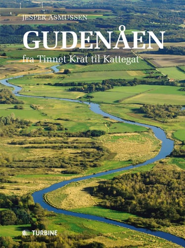 Gudenåen - picture