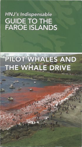 Pilot Whales And The Whale Drive_0