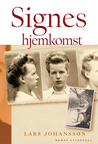 Signes hjemkomst - picture