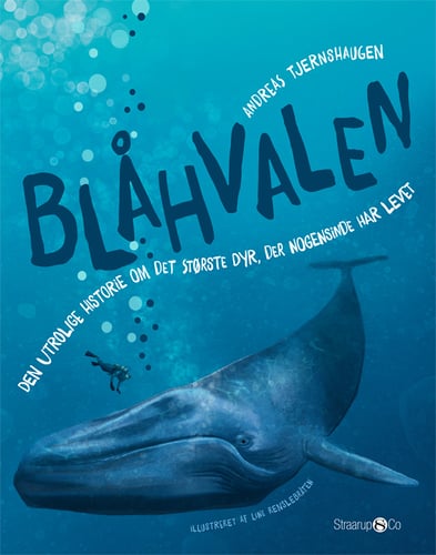 Blåhvalen - picture