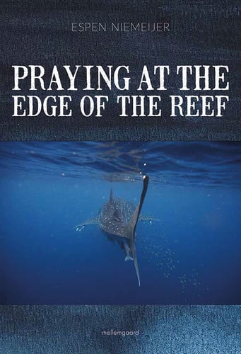 Praying at the edge of the reef - picture