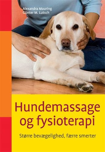 Hundemassage og fysioterapi - picture