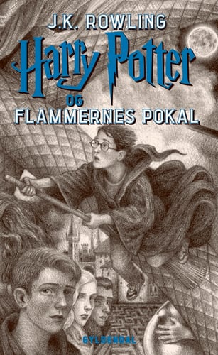 Harry Potter 4 - Harry Potter og Flammernes Pokal - picture