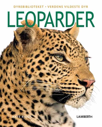 Leoparder - picture