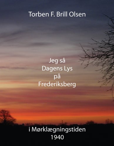 Jeg så Dagens Lys på Frederiksberg - picture