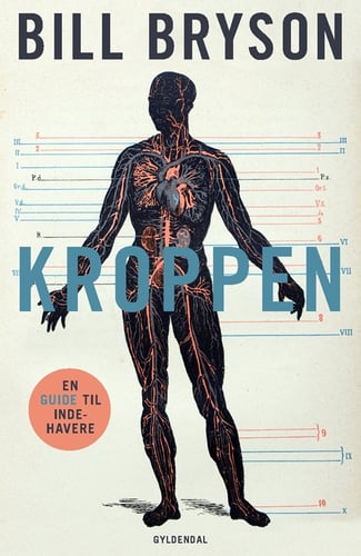 Kroppen - picture