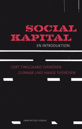 Social kapital - picture