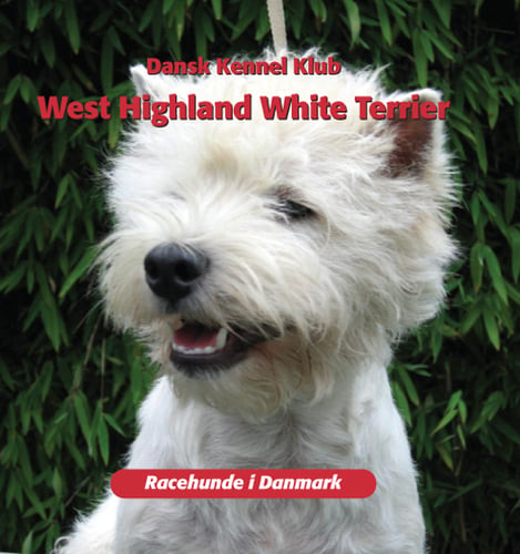 West Highland White Terrier - picture