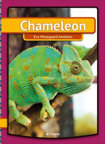 Chameleon - picture