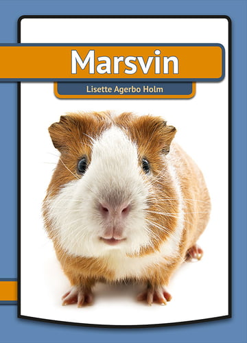 Marsvin - picture