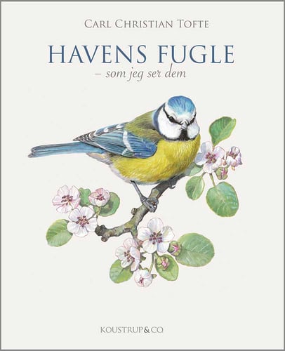 HAVENS FUGLE - picture