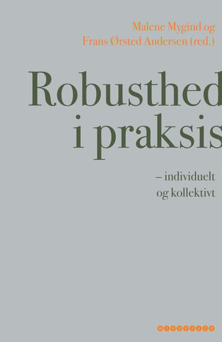 Robusthed i praksis - picture