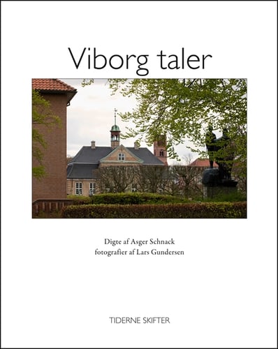 Viborg taler - picture