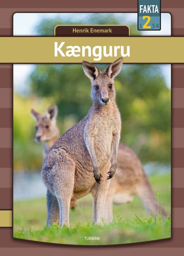 Kænguru