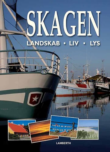 Skagen - Landskab, liv, lys - picture