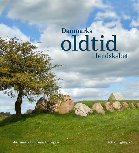 Danmarks oldtid i landskabet - picture