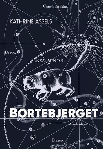 Bortebjerget_0