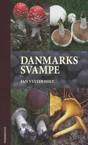 Danmarks svampe - picture