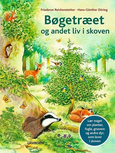 Bøgetræet og andet liv i skoven_0