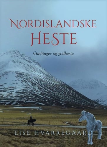 Nordislandske heste - picture