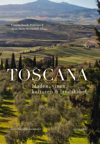 Toscana - picture