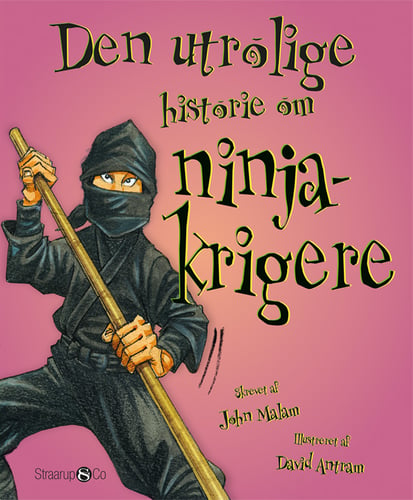 Den utrolige historie om ninjakrigere - picture