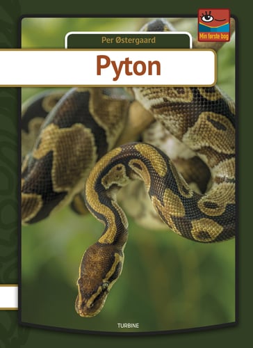 Pyton - picture