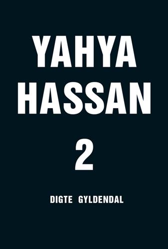 Yahya Hassan 2 - picture