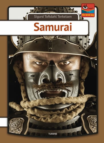 Samurai - picture