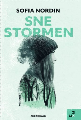 Snestormen - picture