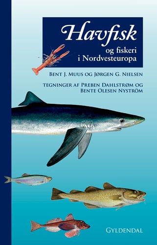Havfisk og fiskeri - picture