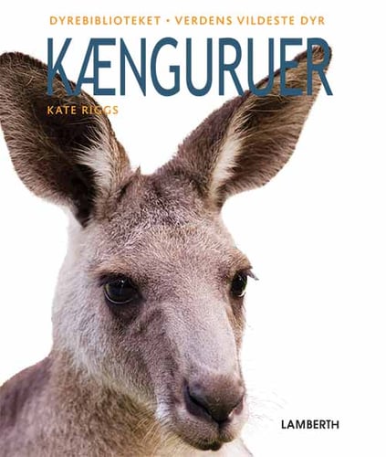 Kænguruer - picture