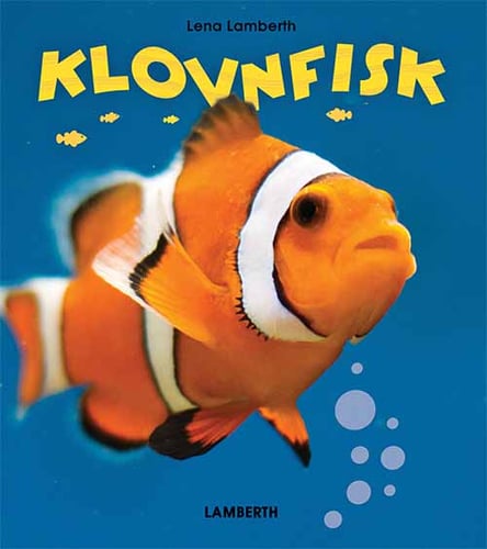 Klovnfisk - picture