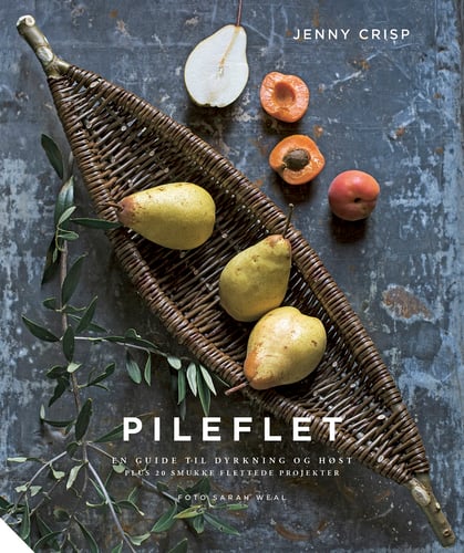 Pileflet_0