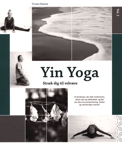 Yin Yoga - picture