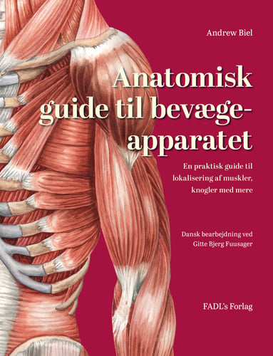 Anatomisk guide til bevægeapparatet - picture