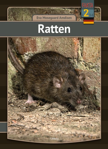 Ratten - picture