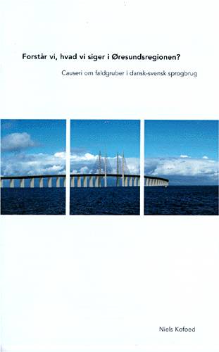 Forstår vi, hvad vi siger i Øresundsregionen?