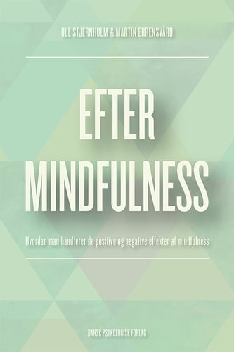 Efter mindfulness - picture
