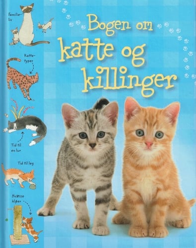 Bogen om katte og killinger_0