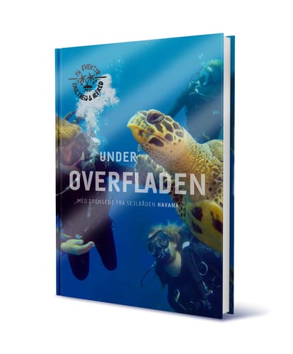 UNDER OVERFLADEN - picture