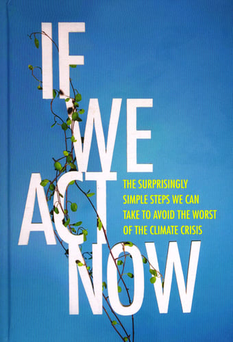 If We Act Now - picture