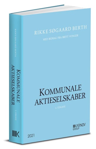 Kommunale aktieselskaber - picture